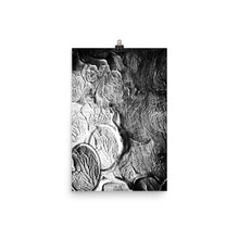 Load image into Gallery viewer, Shine Poster
